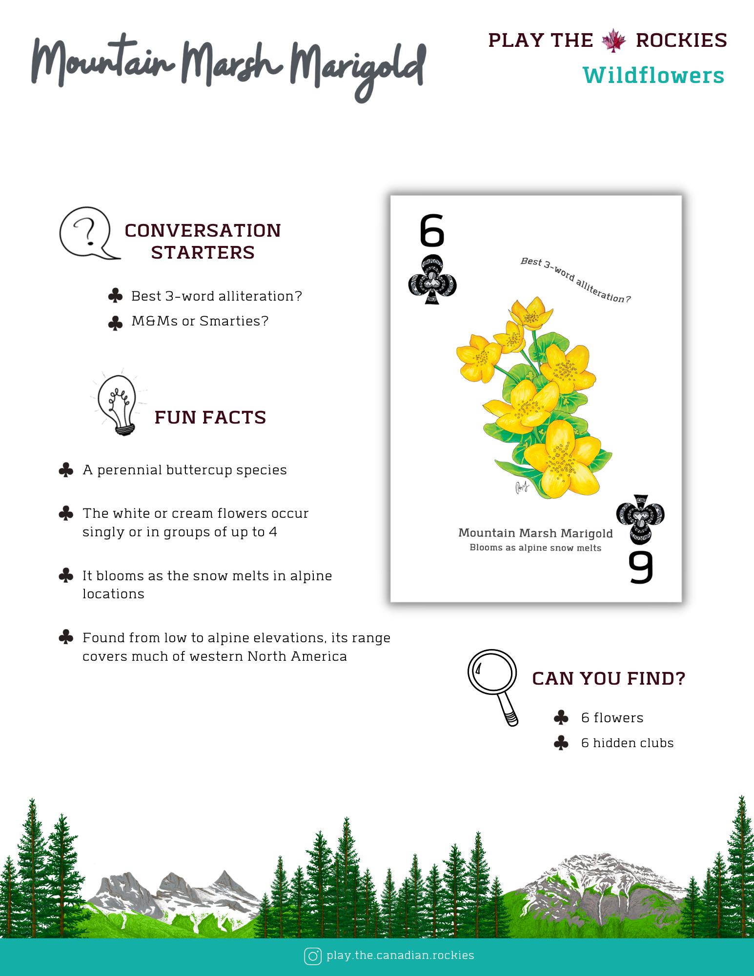 6 Mountain Marsh Marigold - Wildflowers - Information Sheet
