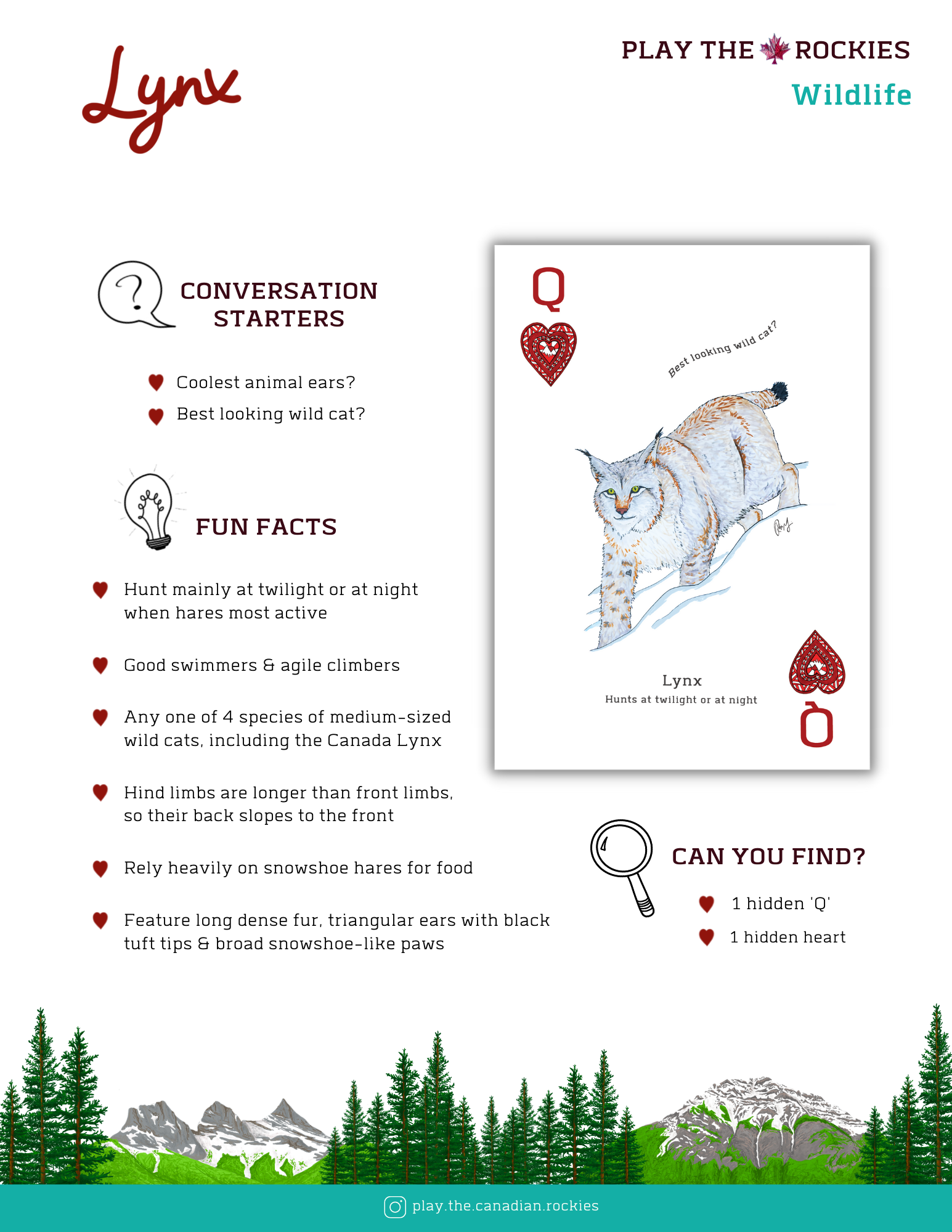 12 Queen - Lynx - Wildflife - Information Sheet