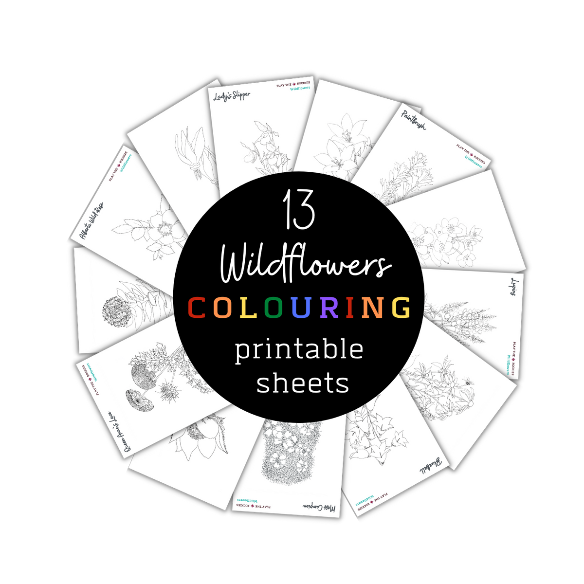 Set of 13 Wildflower Colouring Sheets ⌲ Printable