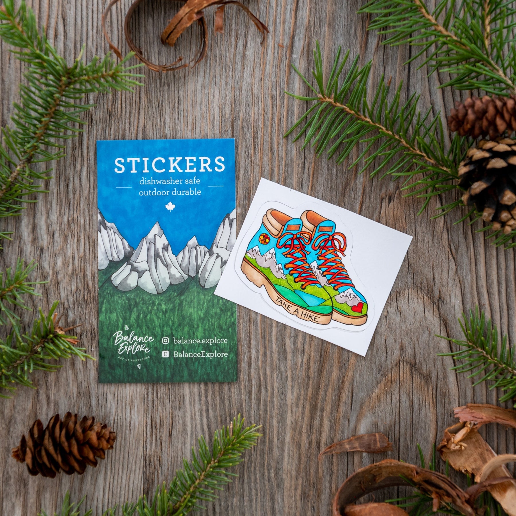 Take A Hike Sticker ⌲ Small 2.5"x2"